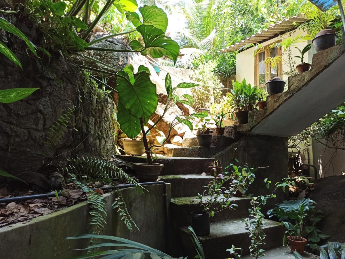 Butterfly Jewel Bed and Breakfast Unawatuna Buitenkant foto