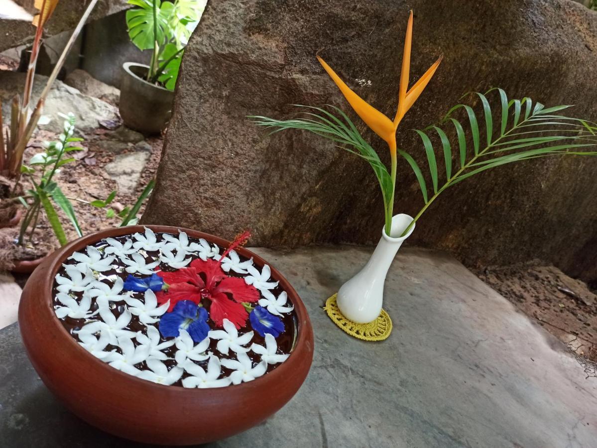 Butterfly Jewel Bed and Breakfast Unawatuna Buitenkant foto